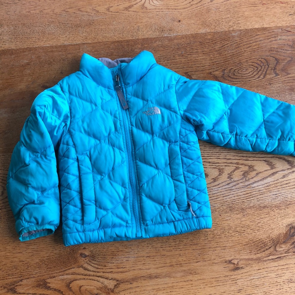 The North Face goose down winter coat